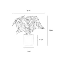 Plante artificielle Monstera