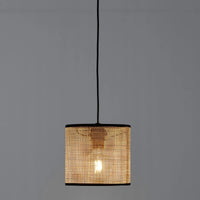 Dolkie III single suspension