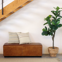 Artificial Ficus plant