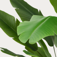 Artificial Banana Plant