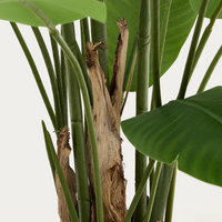 Artificial Banana Plant