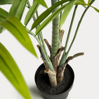 Plante artificielle Palmera 170 cm