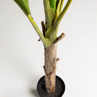 Plante artificielle Banano 160 cm