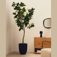 Plante artificielle Ficus 210 cm