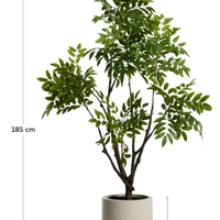 Plante artificielle Calella