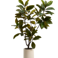 Plante artificielle Magnolia 160 cm