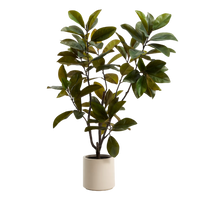 Plante artificielle Magnolia 160 cm