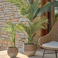 Artificial Japanese Cycas plant