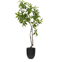 Plante artificielle Pachira