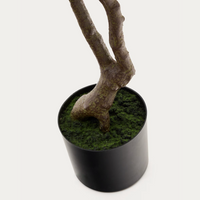 Artificial Pachira Plant