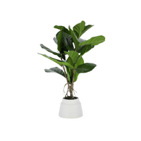Plante artificielle Lyrata