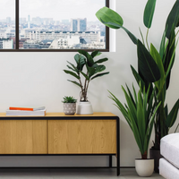 Plante artificielle Lyrata