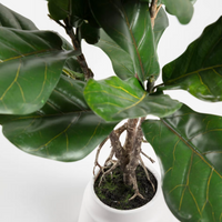 Plante artificielle Lyrata