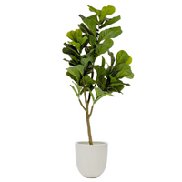 Plante artificielle Ficus