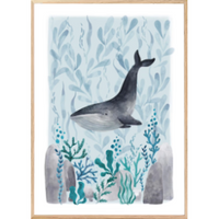 Affiche encadrée - Ocean Whale