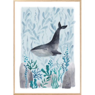 Affiche encadrée - Ocean Whale