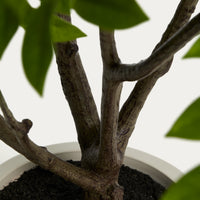 Plante artificielle Calella – vue rapprochée du cache-pot