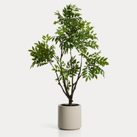Plante artificielle Calella – vue détourée