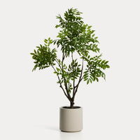 Plante artificielle Calella – vue détourée