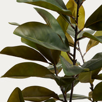 Plante artificielle Magnolia – détail du feuillage