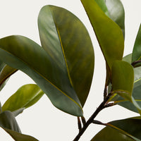 Plante artificielle Magnolia – vue de côté