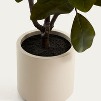 Plante artificielle Magnolia – vue de dos