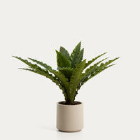 Plante artificielle Girona – vue détourée