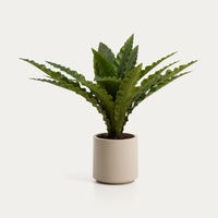 Plante artificielle Girona – vue détourée