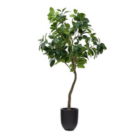 Plante artificielle Ficus avec pot noir 210 cm