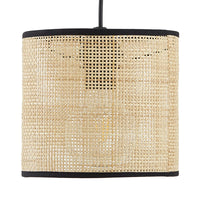 Dolkie III single suspension