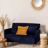 Belushi 2-seater convertible sofa