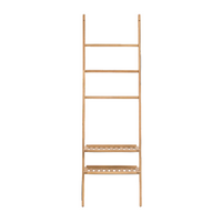 Ladder shelf