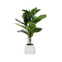 Plante artificielle Lyrata