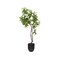 Plante artificielle Pachira