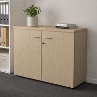 Armoire de rangement Soren