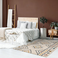 Olga multicolored rug