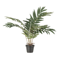 Kwai artificial plant