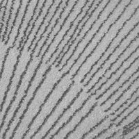 Dandelion Rug - Editorial