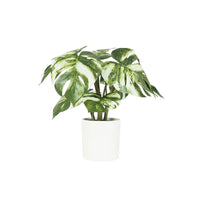 Plante artificielle Monstera