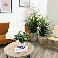 Plante artificielle Dieffenbachia