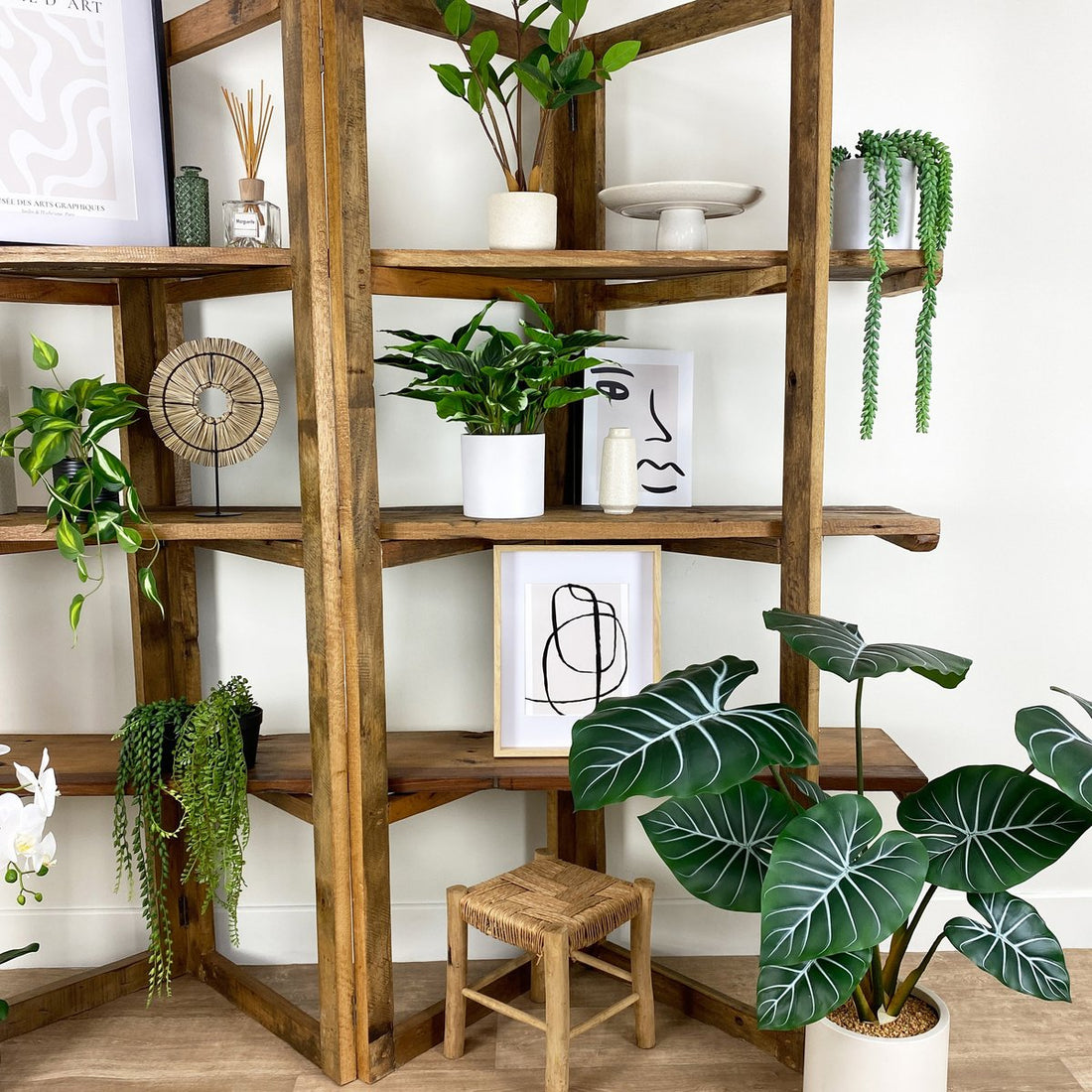 Plante artificielle Dieffenbachia