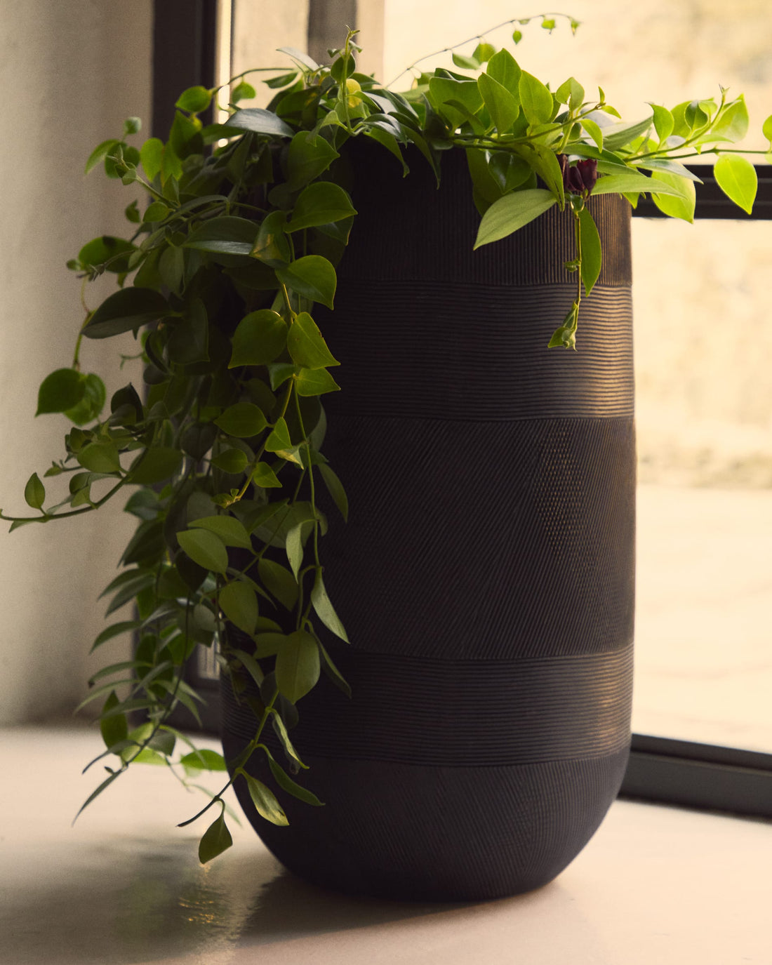 Ensemble de 2 cache-pots Solsona – mise en ambiance intérieure