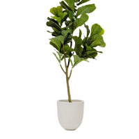 Plante artificielle Ficus