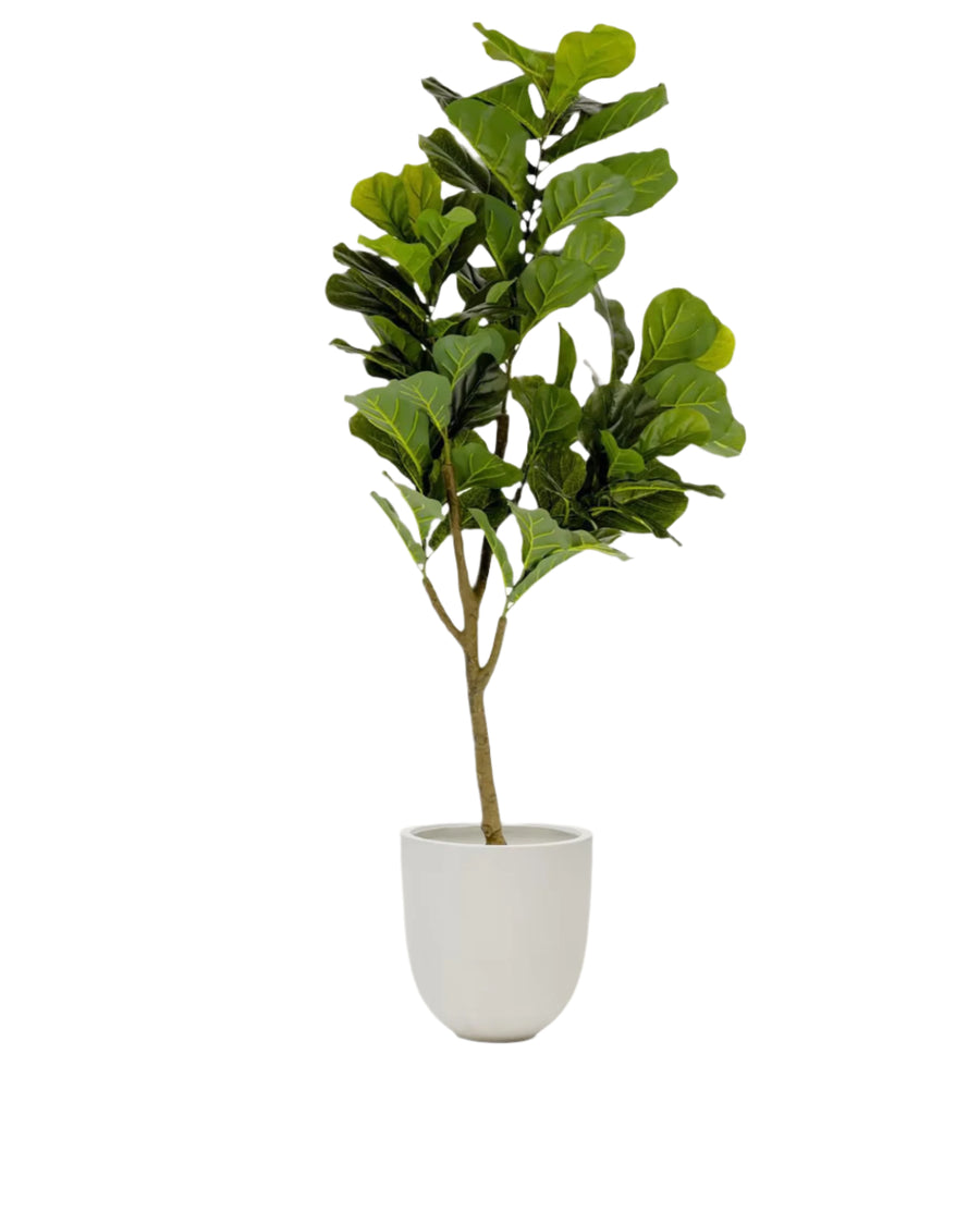 Plante artificielle Ficus