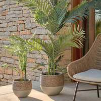 Plante artificielle Palmera 70 cm