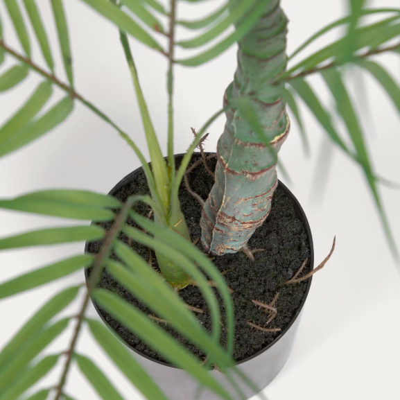 Plante artificielle Palmera 70 cm