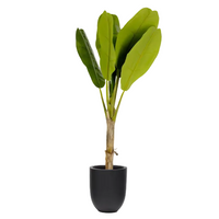 Plante artificielle Banano 160 cm