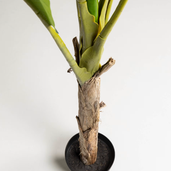 Plante artificielle Banano 160 cm