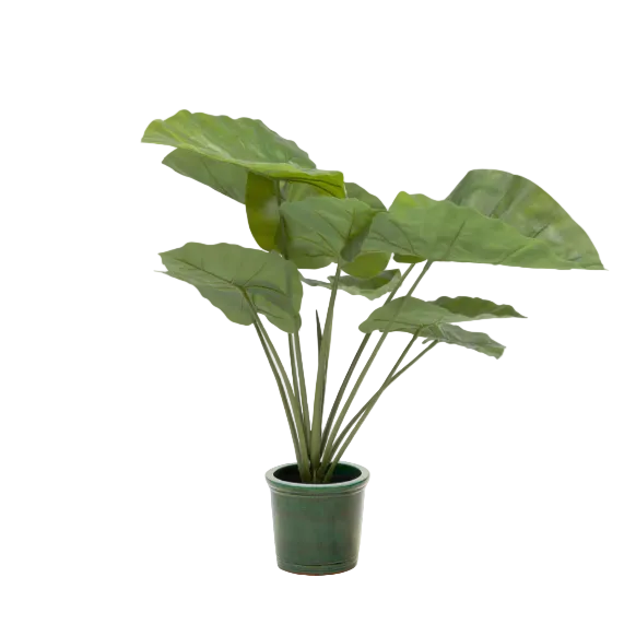 Plante artificielle Alocasia