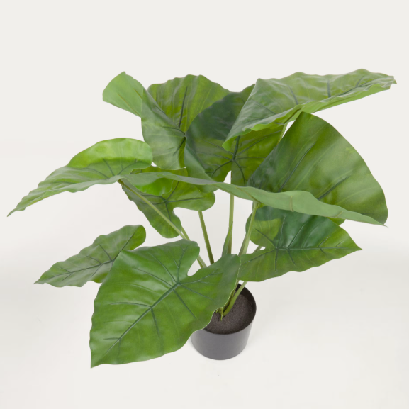 Plante artificielle Alocasia